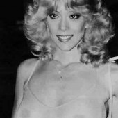 Judy Landers 