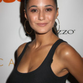 Emmanuelle Chriqui 