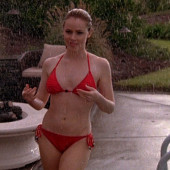 Amanda Schull bikini