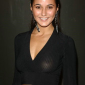 Emmanuelle Chriqui 