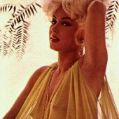 Mamie Van Doren 