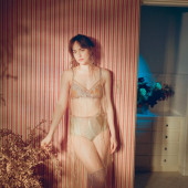 Dakota Johnson see through