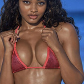 Danielle Herrington cleavage