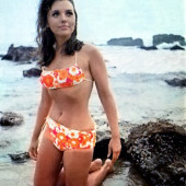 Dawn Wells bikini