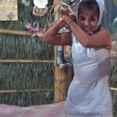 Dawn Wells upskirt