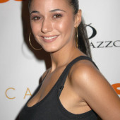 Emmanuelle Chriqui 