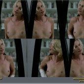 Nicollette Sheridan 