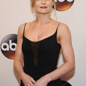 Jennifer Morrison sexy