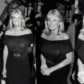 Linda Evans see through