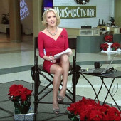 Megyn Kelly upskirt