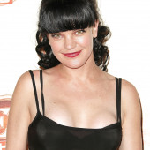 Pauley Perrette 