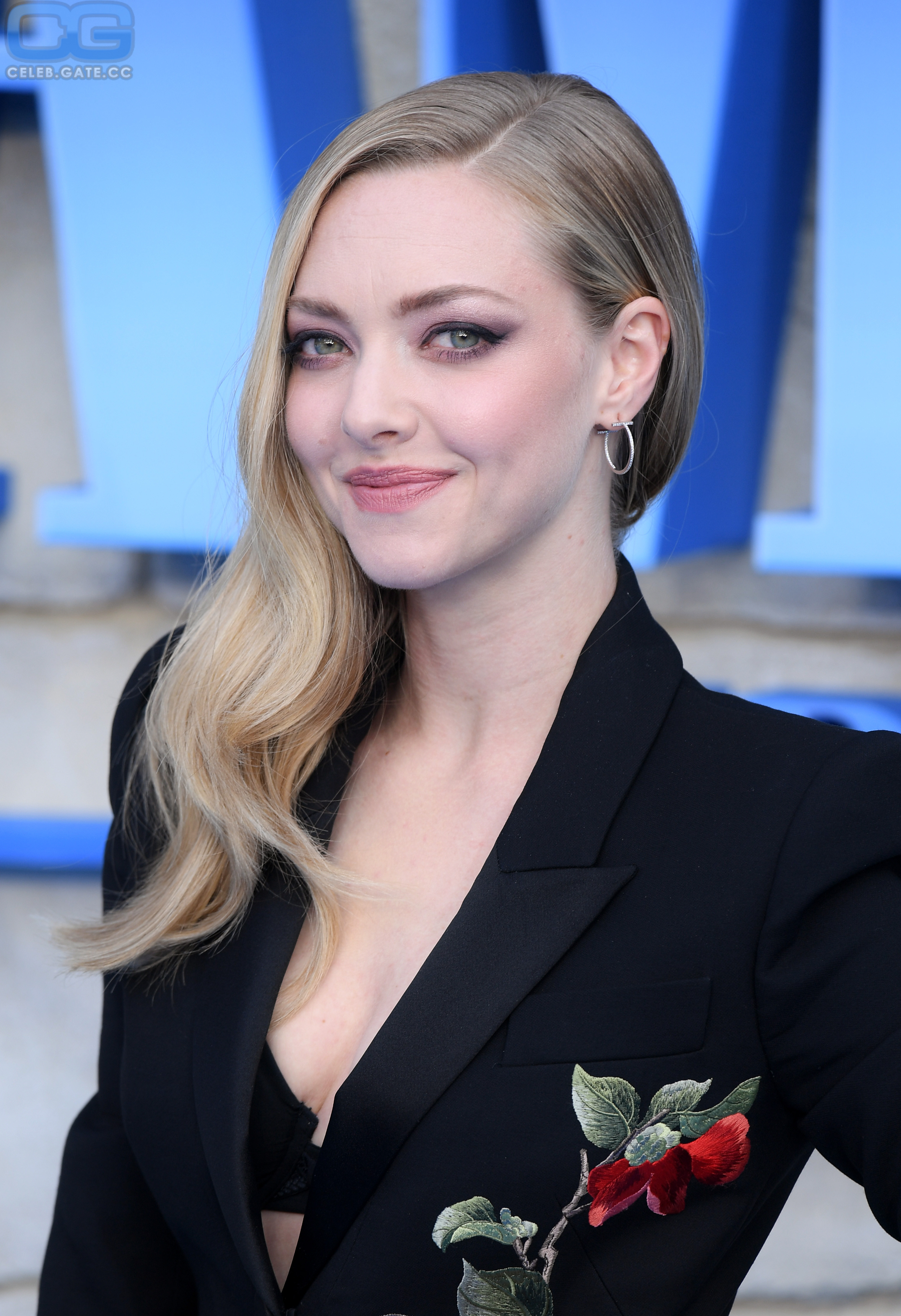 Amanda Seyfried oops