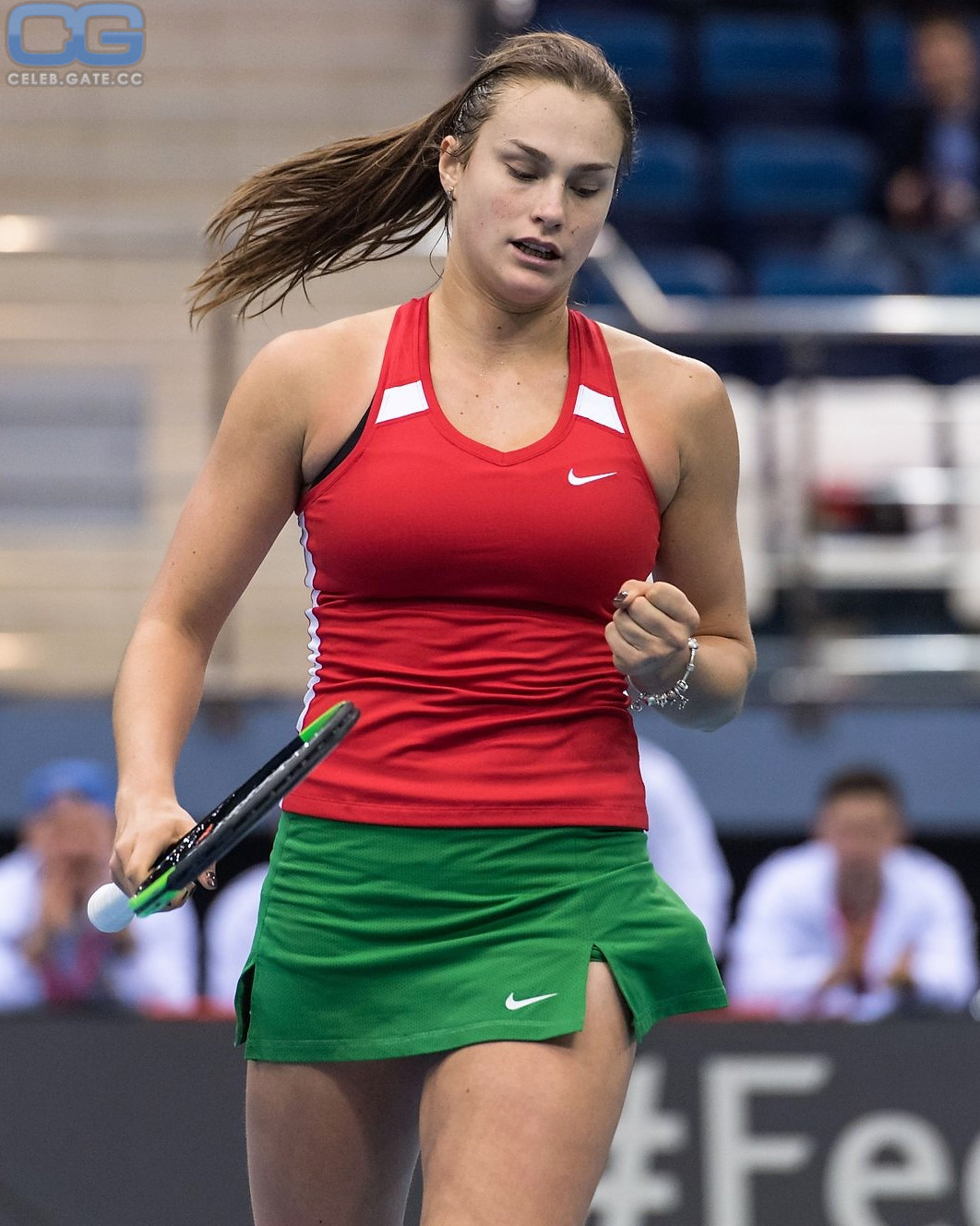 Aryna Sabalenka body