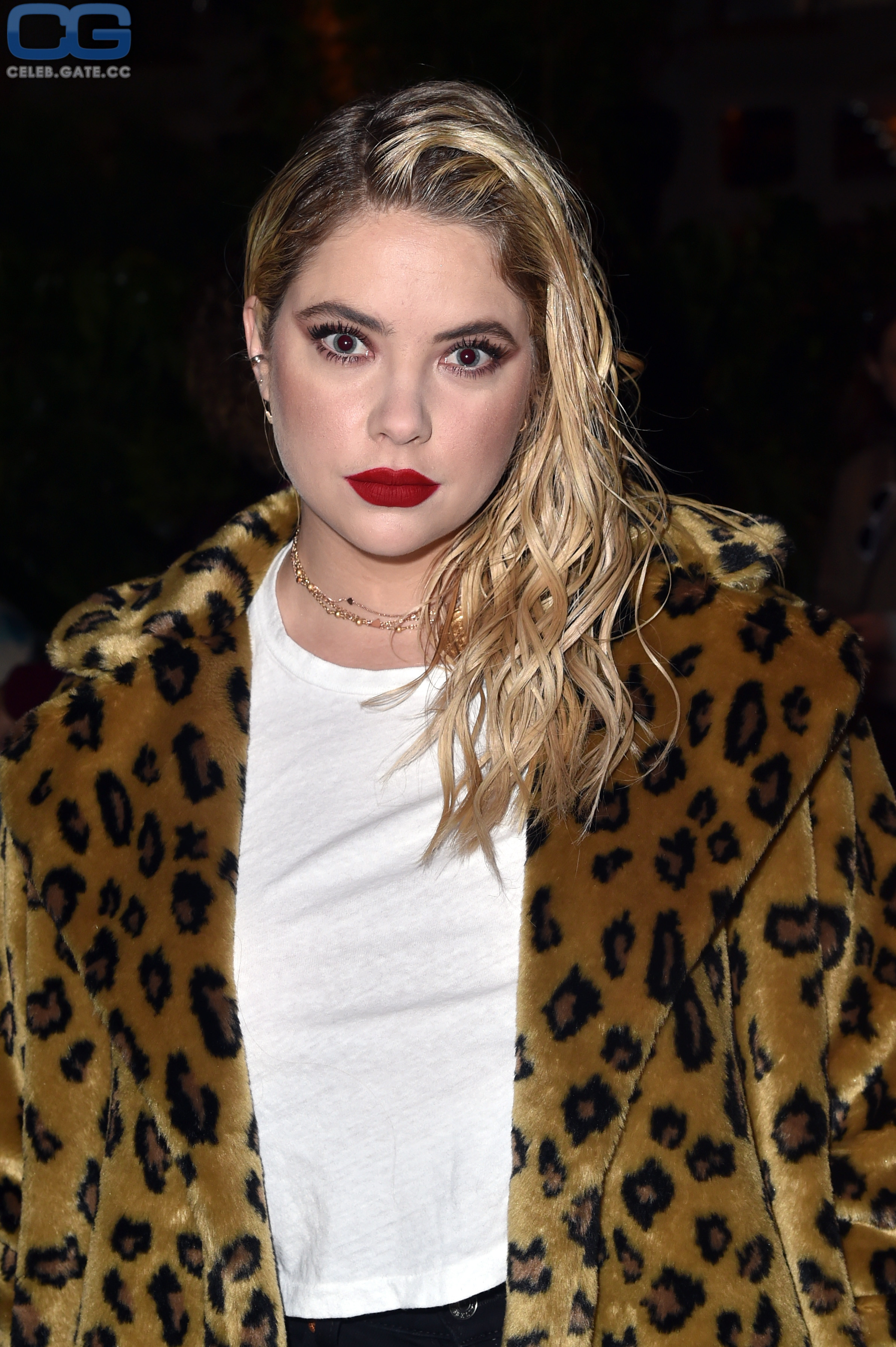 Ashley Benson braless