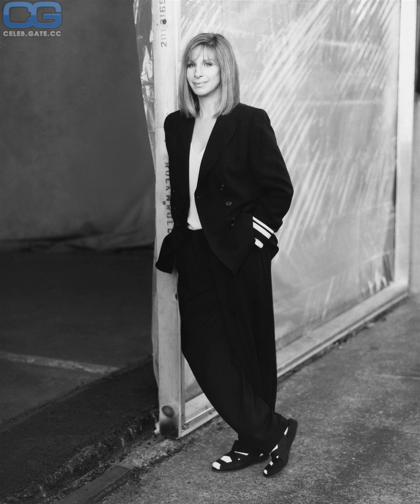 Barbra Streisand 