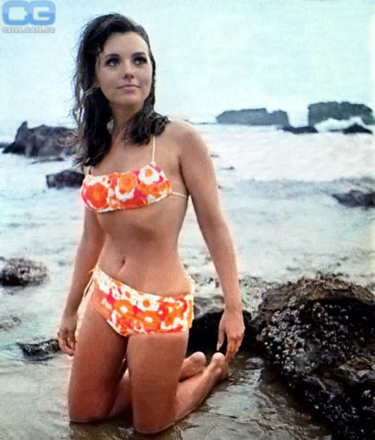 Dawn Wells bikini