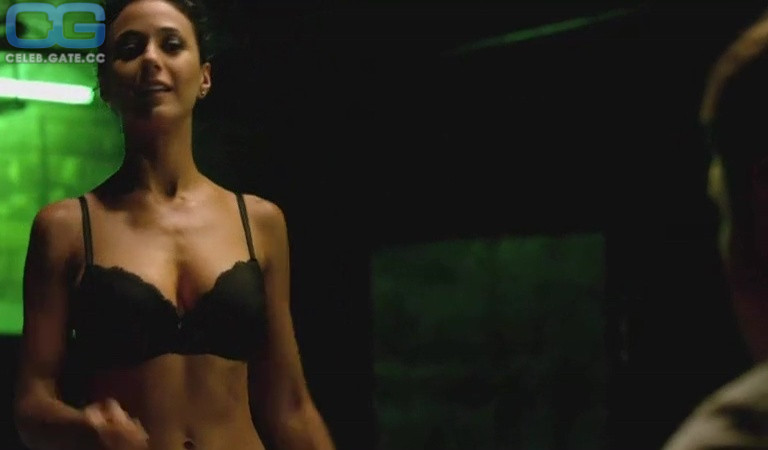 Emmanuelle Chriqui 