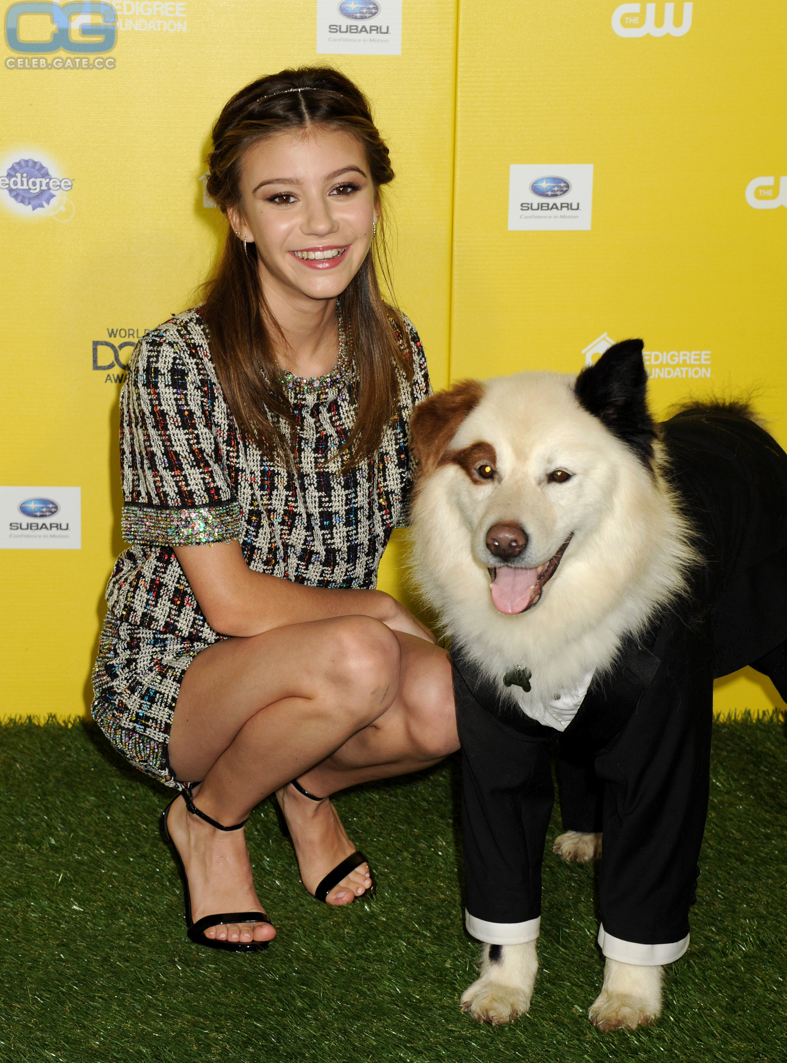 Genevieve Hannelius upskirt