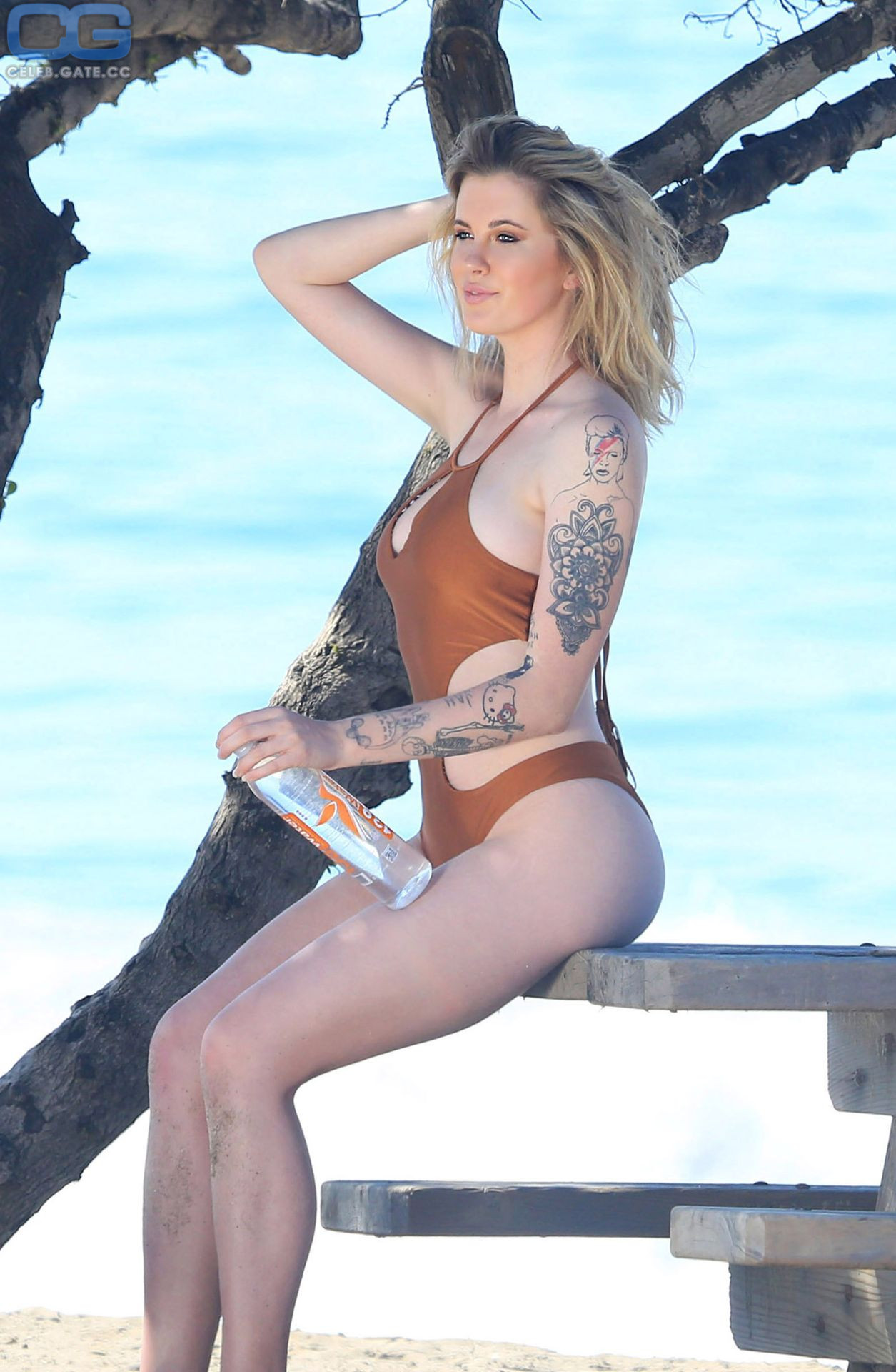 Ireland Baldwin beach