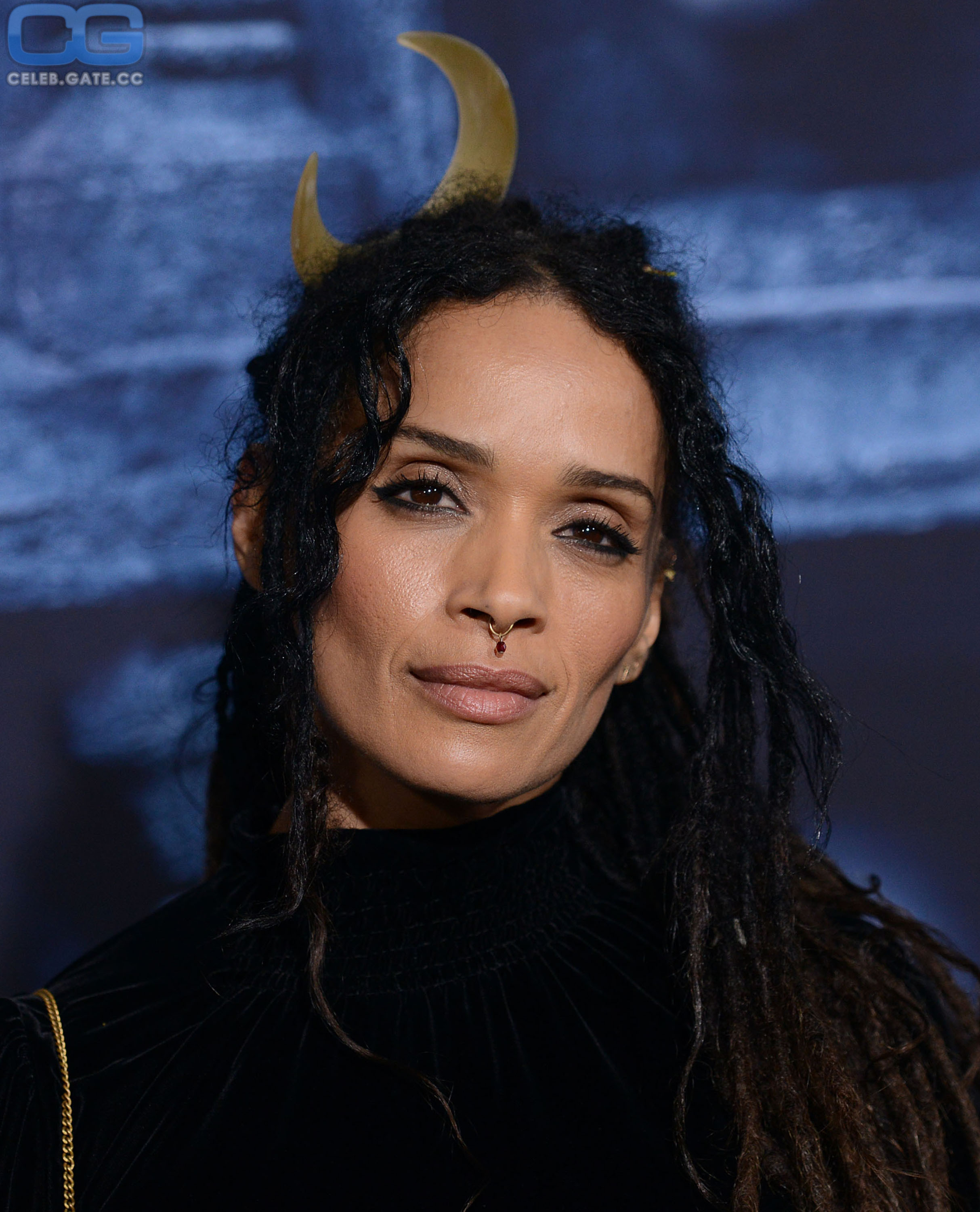 Lisa Bonet now