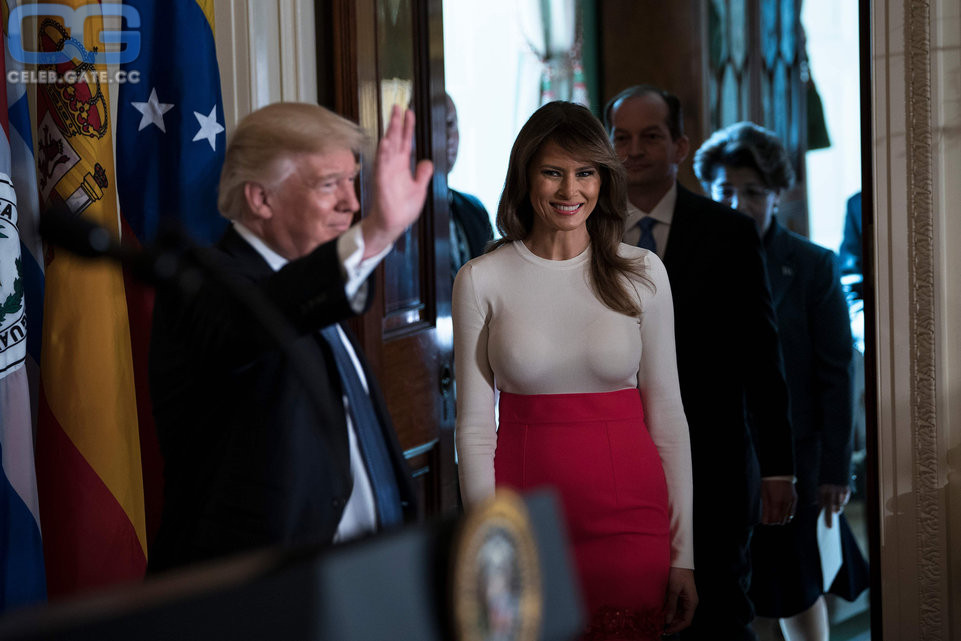 Melania Trump see through