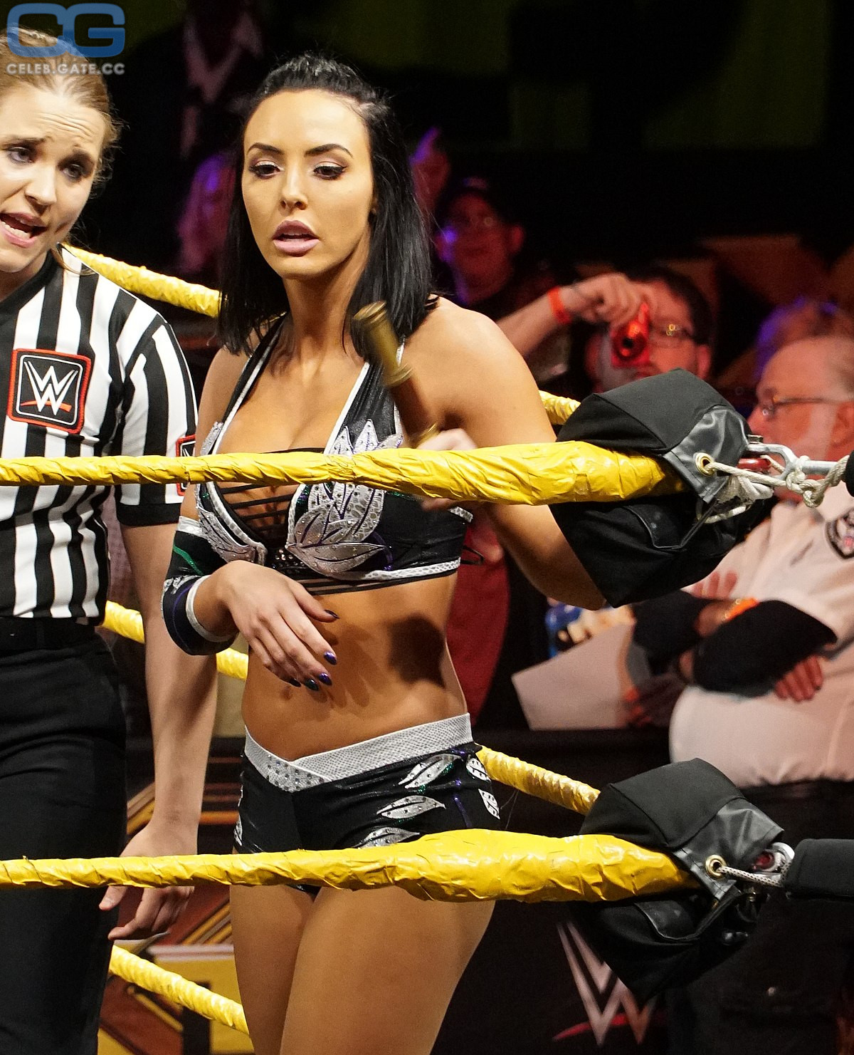 Peyton Royce 