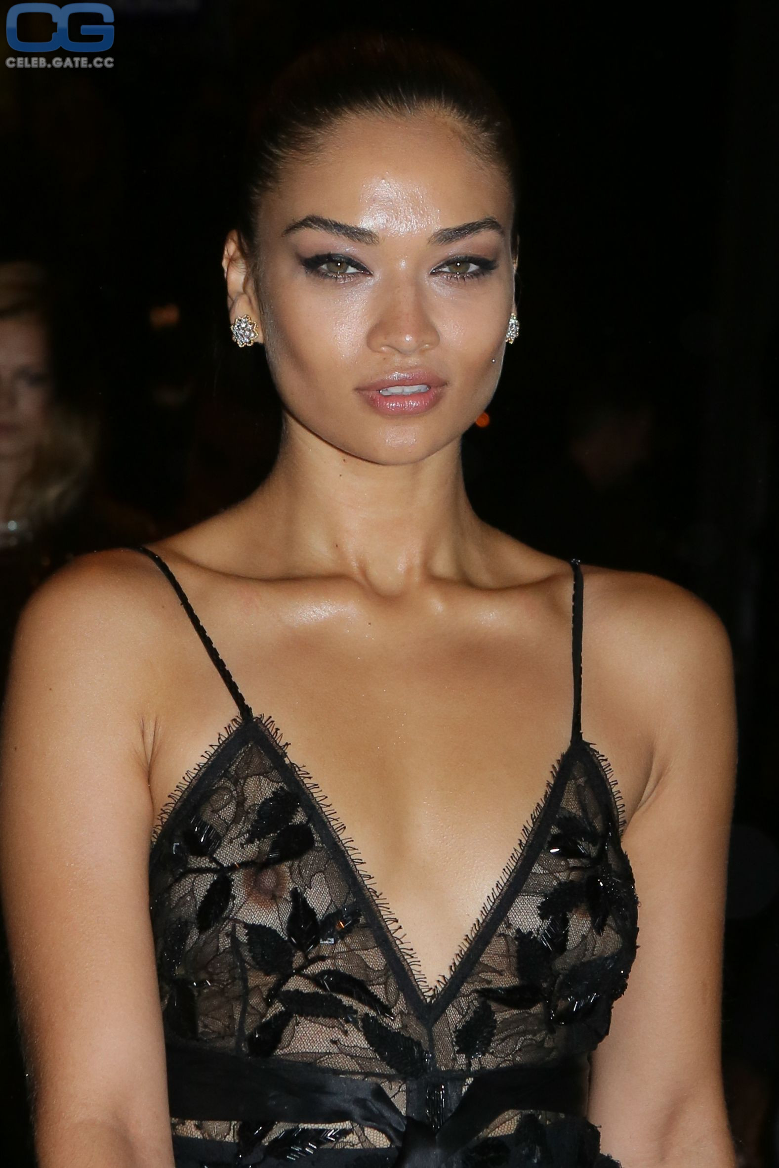 Shanina Shaik 