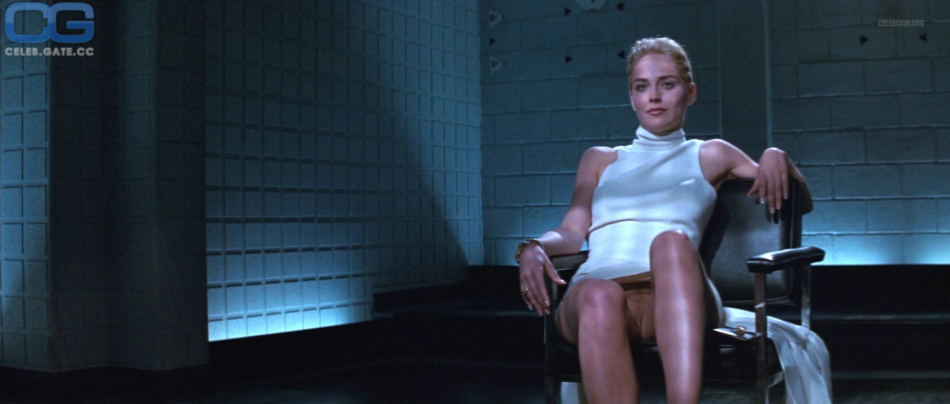 Sharon Stone upskirt basic instinkt