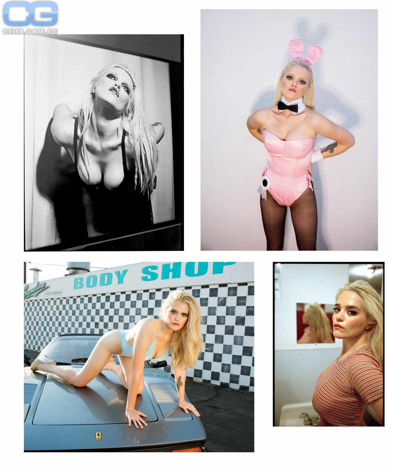 Sky Ferreira playboy pics